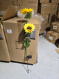 Large Sunflower Solar