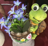 Frog W/ Planter