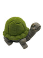 Grey Turtle W/ Grass Shell