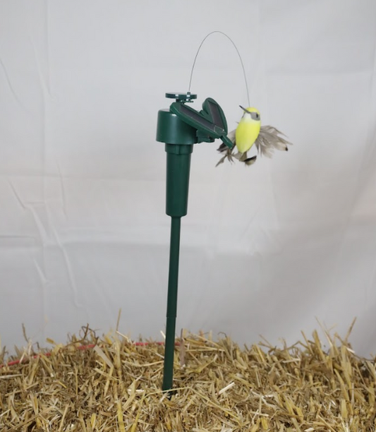 Humming Bird 5 Asst. Solar Light