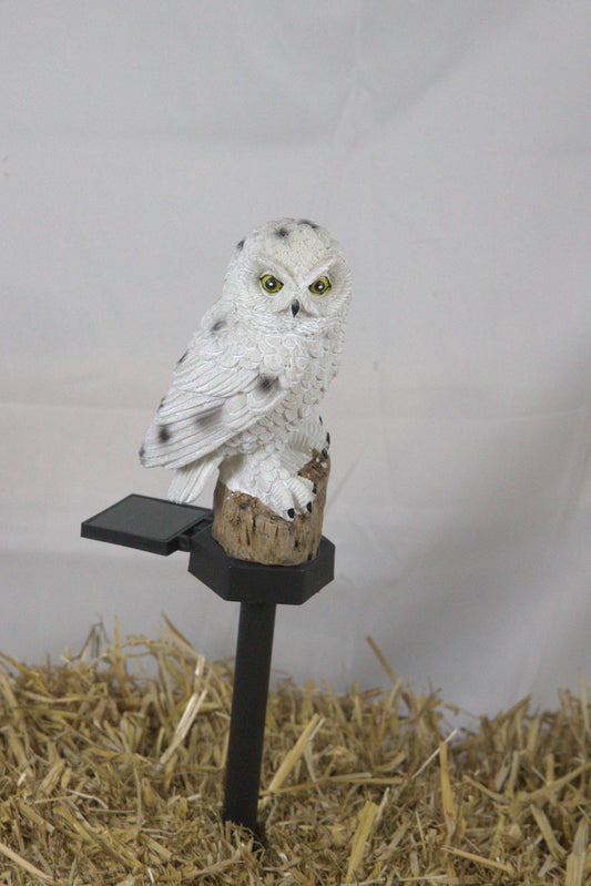 Owl Solar Light