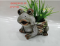 Woven Frog Planter