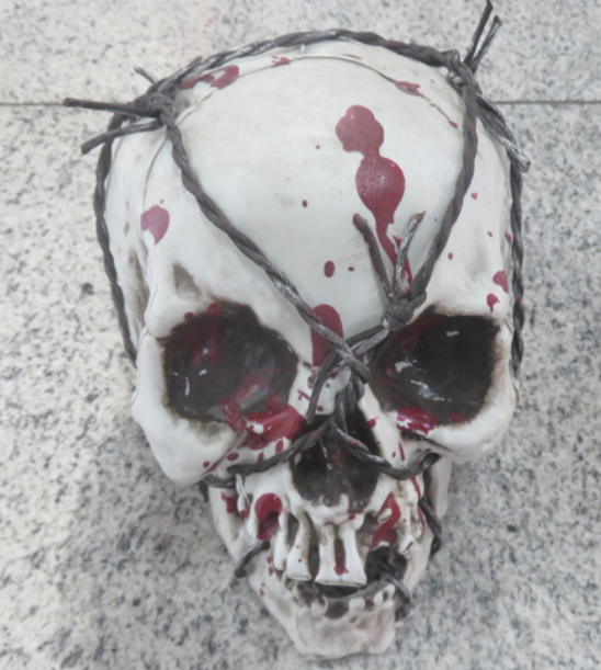 Bloody Barbed Wire Skeleton Head