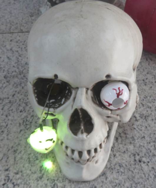 Eye Popping Skeleton W/ Light and Sound