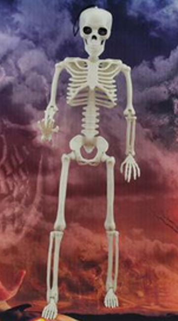 15" Skeleton Full Articulation Decoration