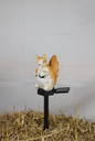 Squirrel Solar Light