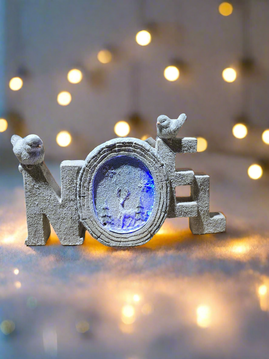 Christmas LED "NOEL" with Bird