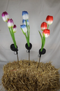 Tulip Solar Light